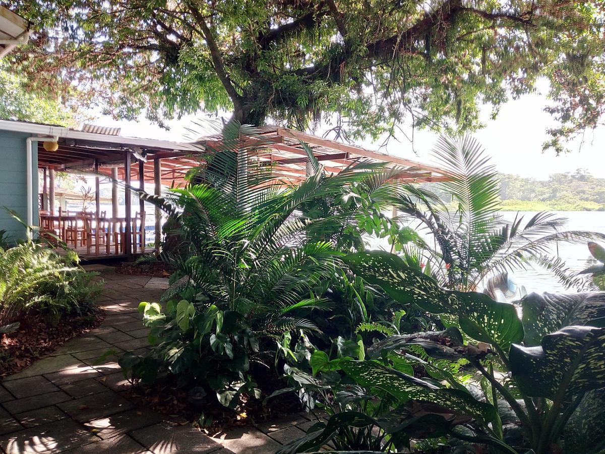 Casa Marbella Villa ตอร์ตูเกโร ภายนอก รูปภาพ